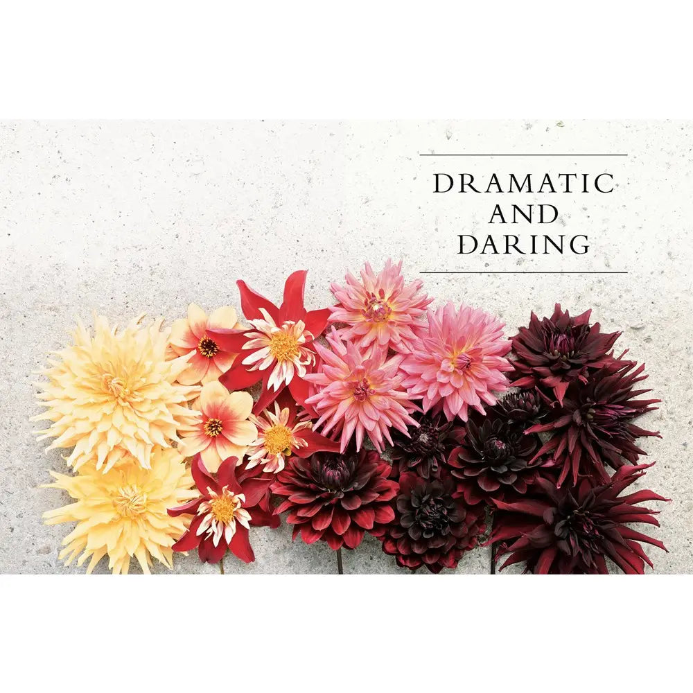 DAHLIAS: BEAUTIFUL VARIETIES FOR HOME & GARDEN