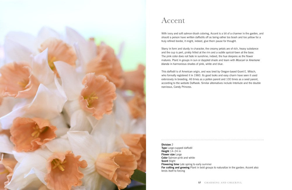 DAFFODILS: BEAUTIFUL VARIETIES FOR HOME AND GARDEN