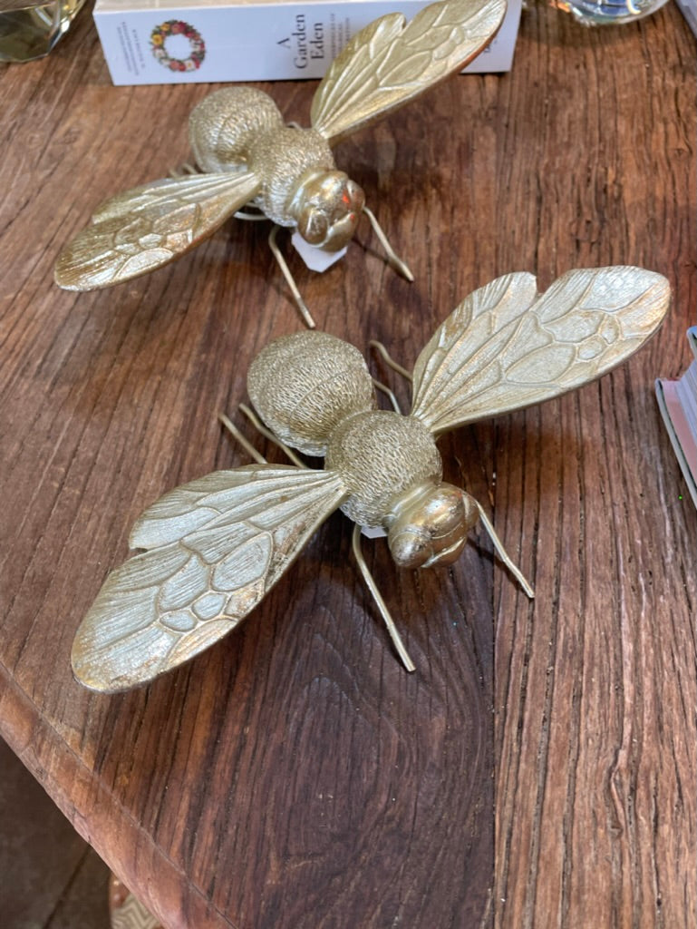 GOLD FLY ACCENT