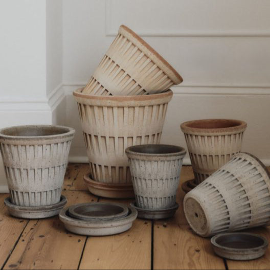 PANTHEON ROSA POT & SAUCER