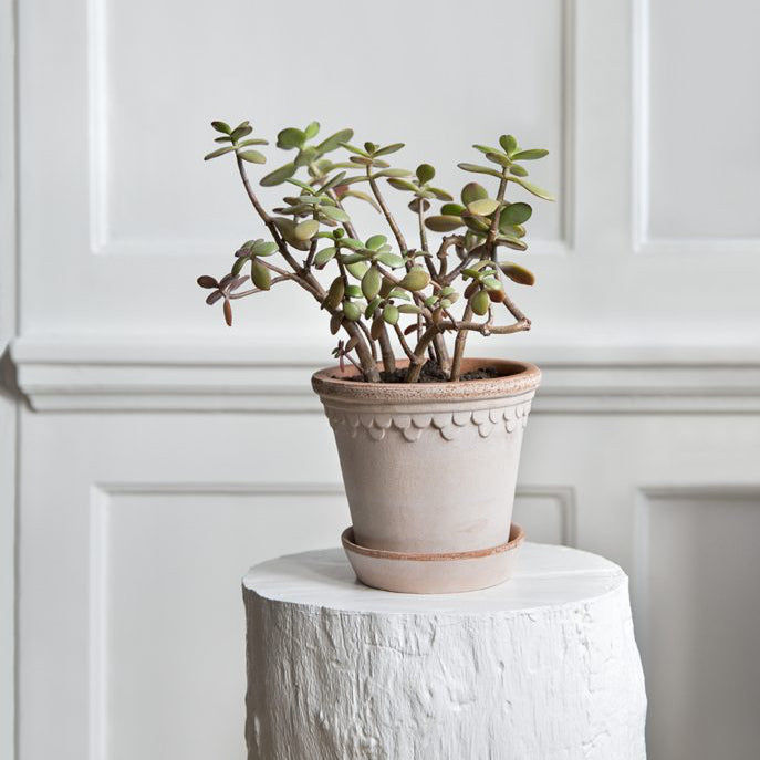 KOBENHAVNER ROSA POT & SAUCER SET