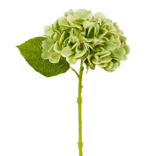 13" GREEN HYDRANGEA STEM