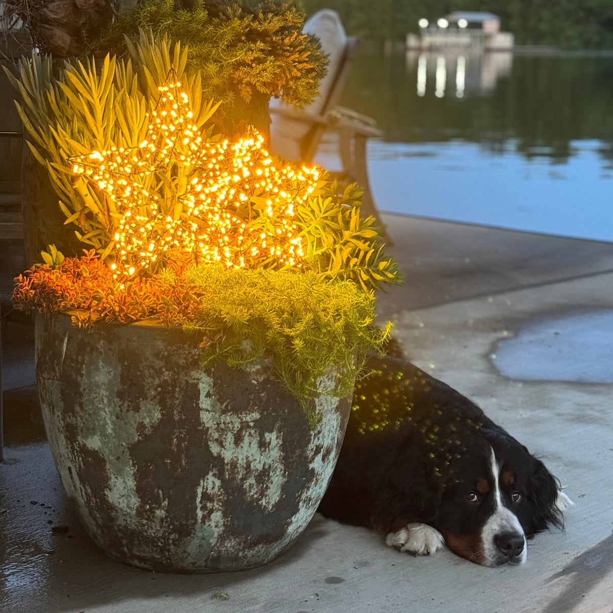 STAR TABLE LAMP-MICRO LED