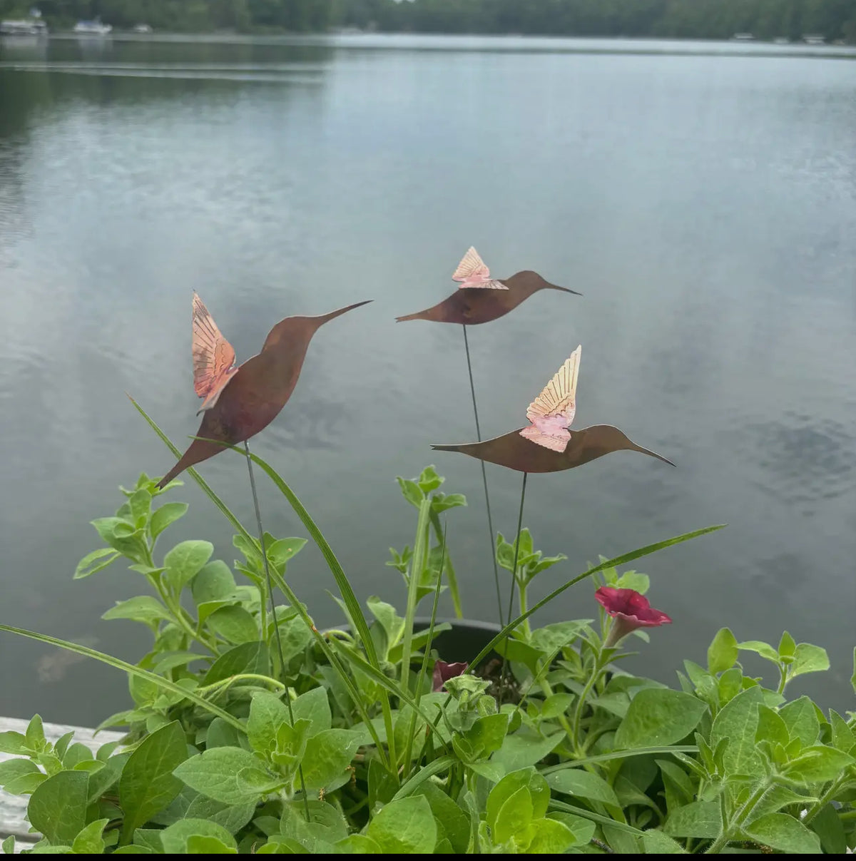 COPPER HUMMINGBIRD ACCENT