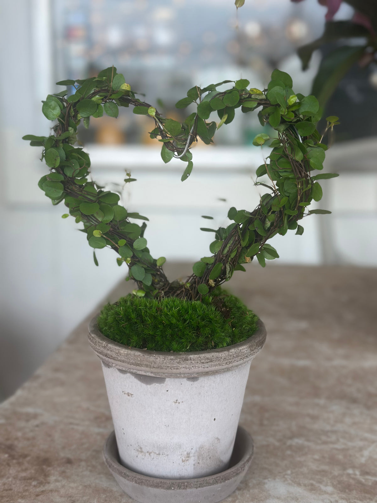 WIRE ANGEL VINE IN BERGS POTTERY