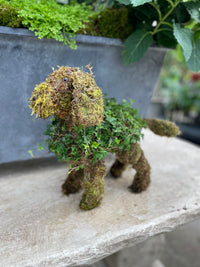 SMALL STANDING PUPPY TOPIARY