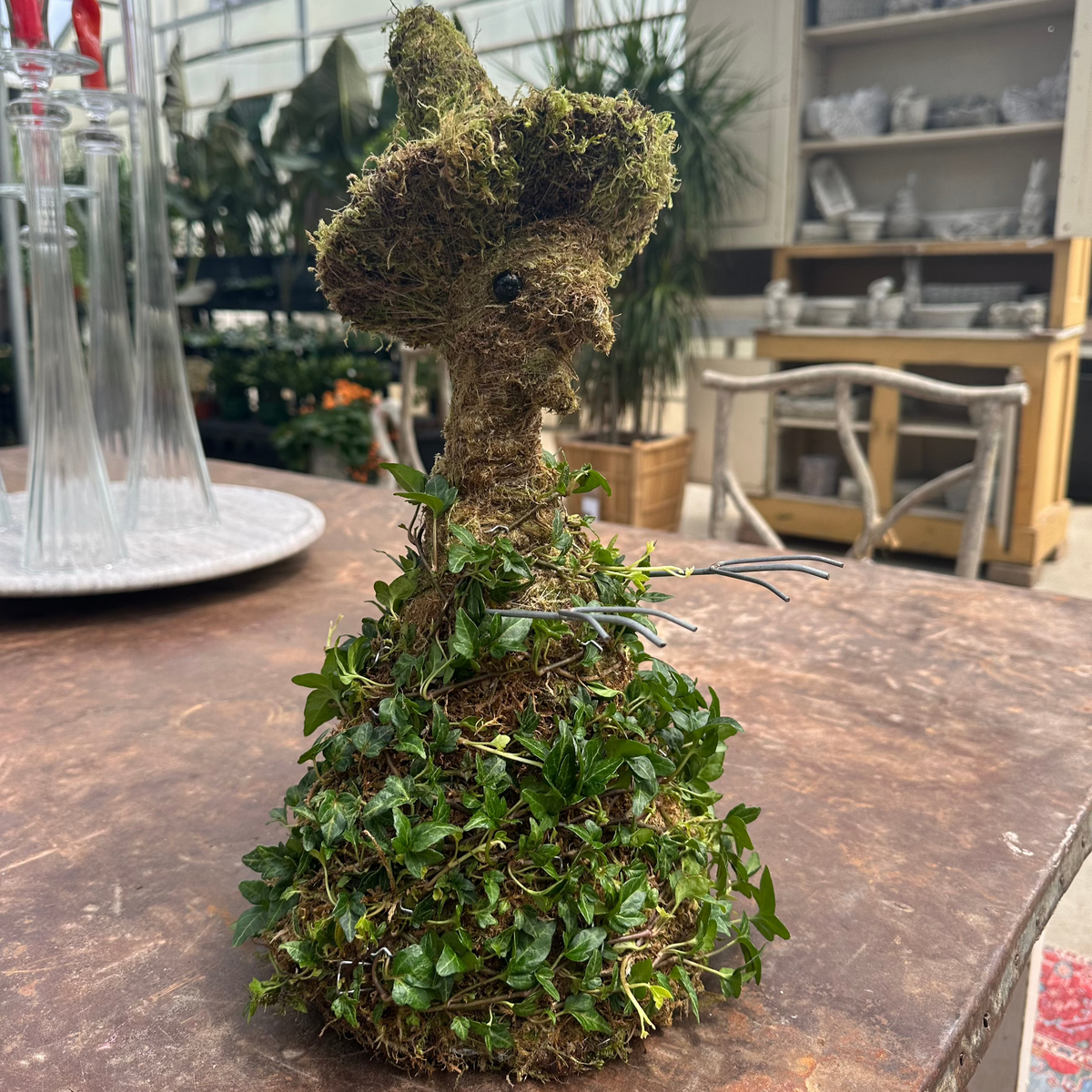 WITCH TOPIARY