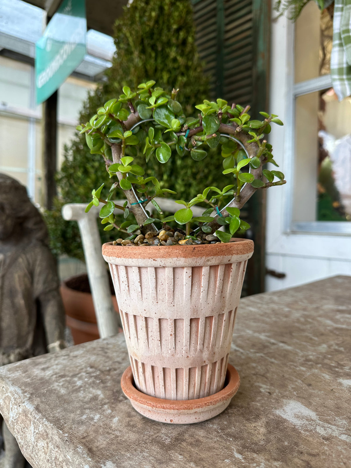 HEART SHAPED SUCCULENT IN ITALIAN POTTERY