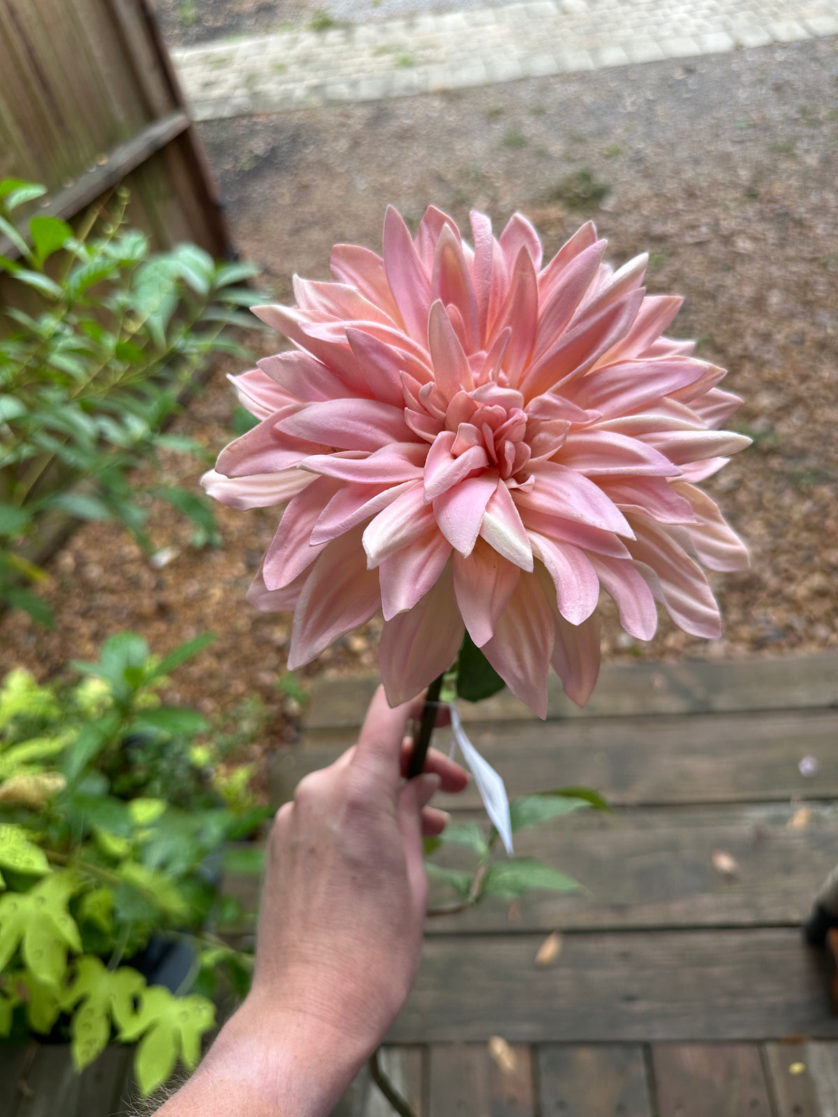 FAUX DAHLIA STEMS