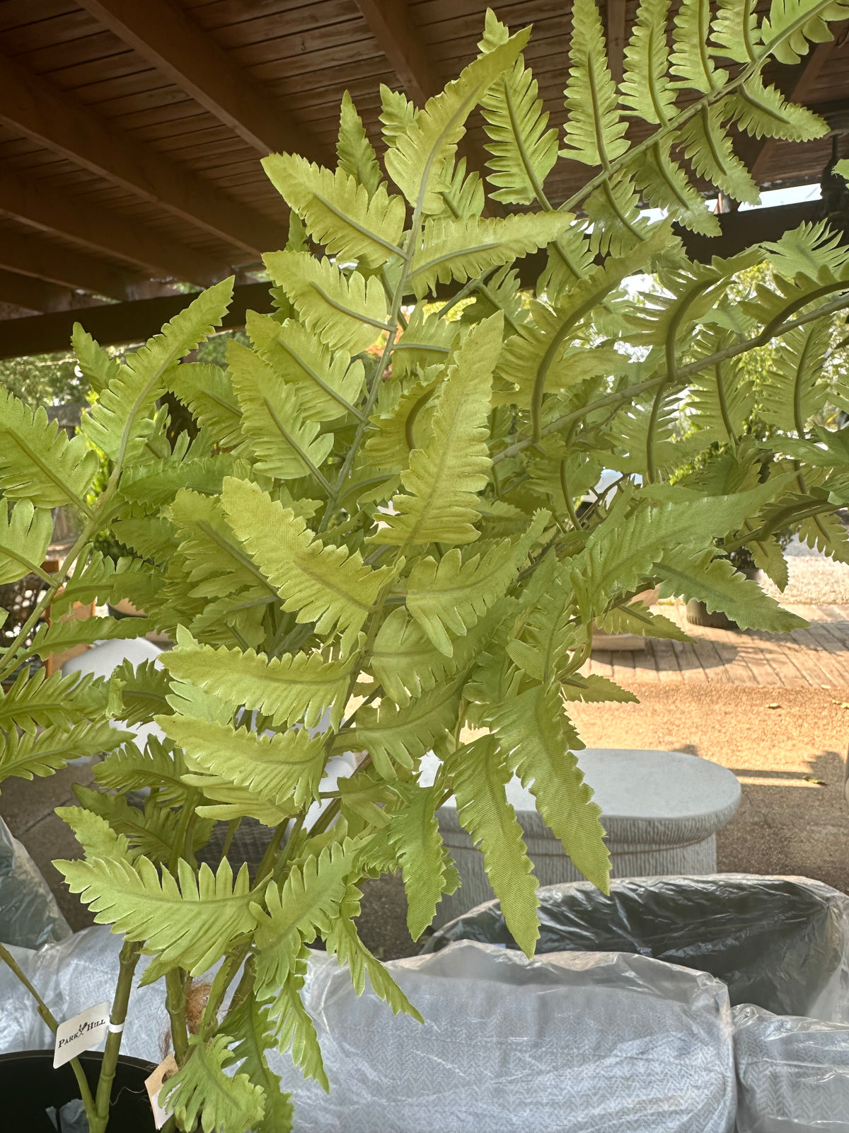 FOREST FERN SPRAY