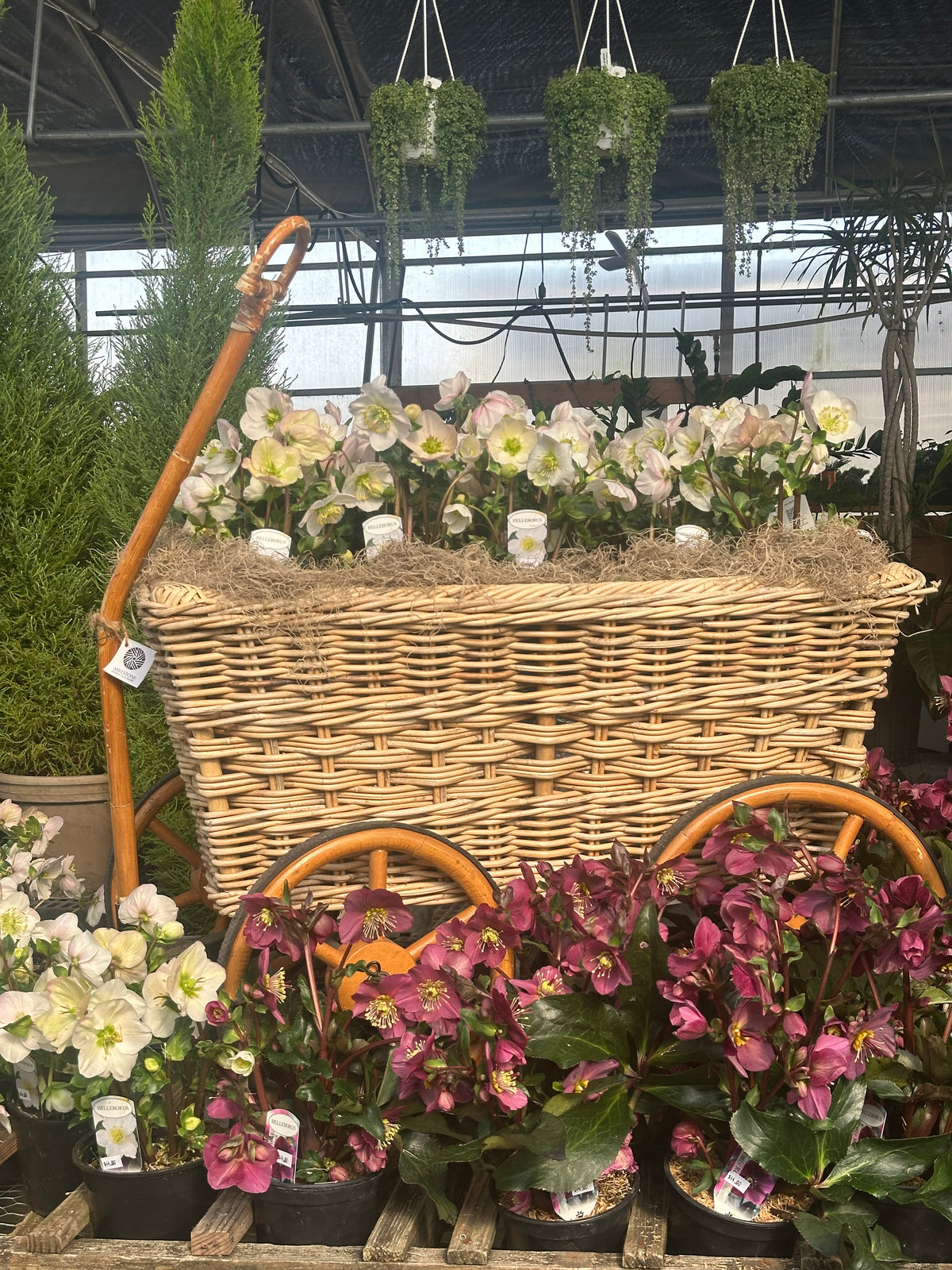 FRENCH COUNTRY FARMER'S CART