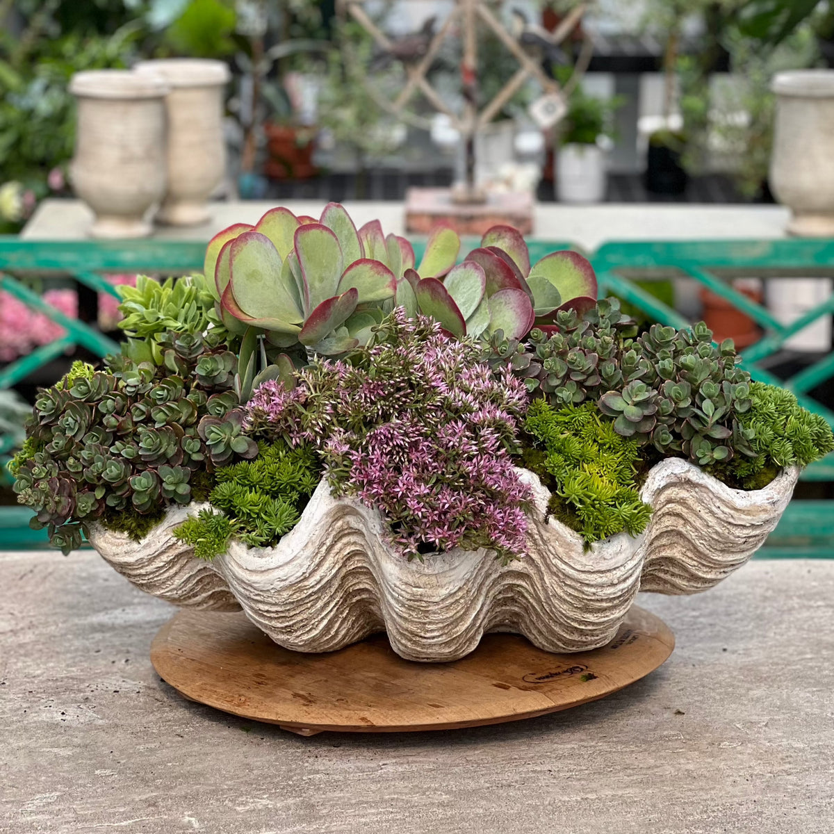 Clam Shell Indoor Outdoor Decor / Planter - Large