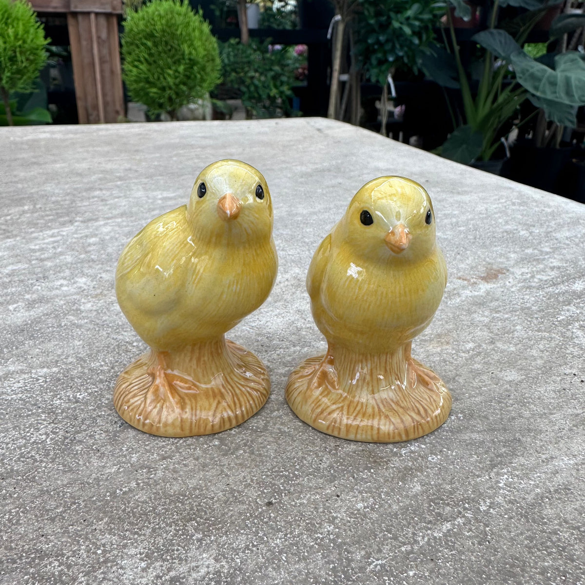 CHICK SALT AND PEPPER SHAKER SET