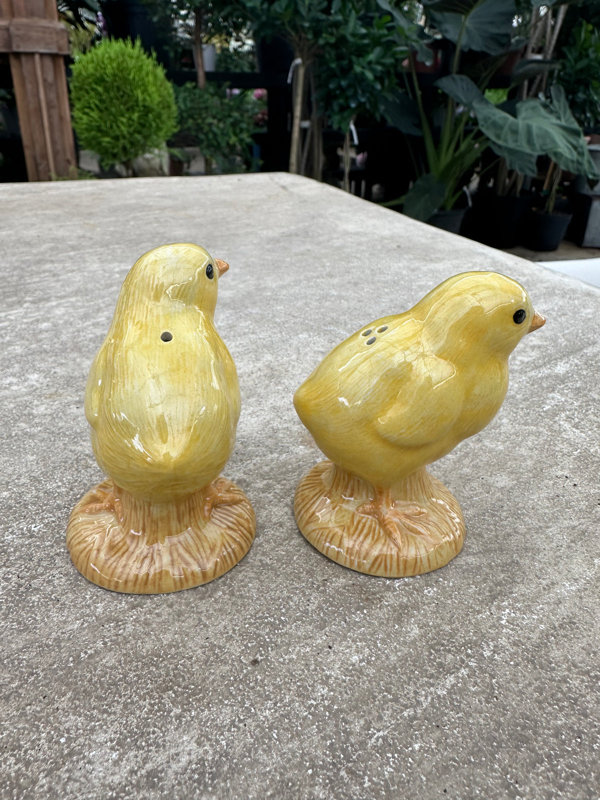 CHICK SALT AND PEPPER SHAKER SET