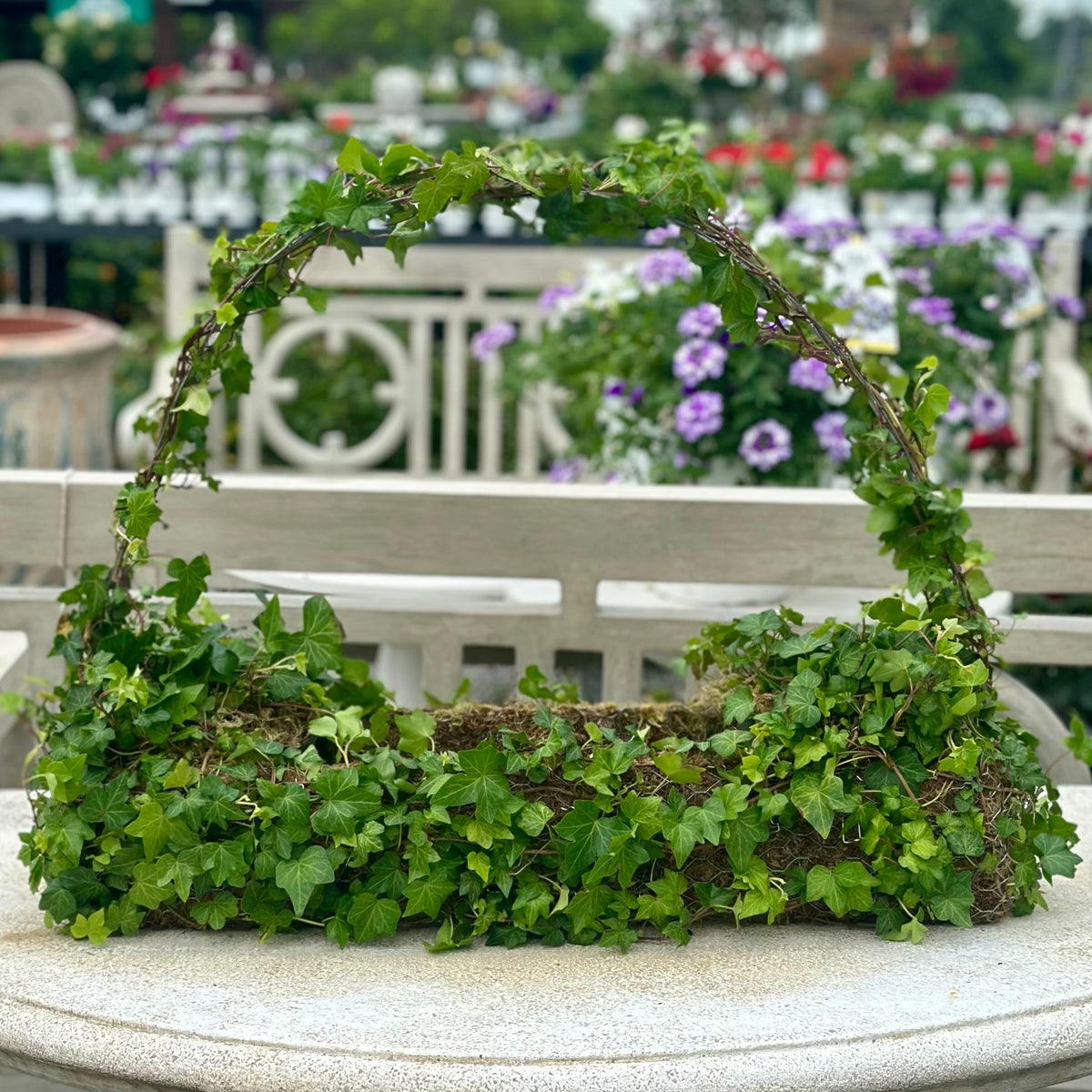 IVY TOPIARY BASKET