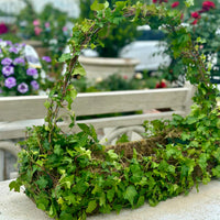 IVY TOPIARY BASKET