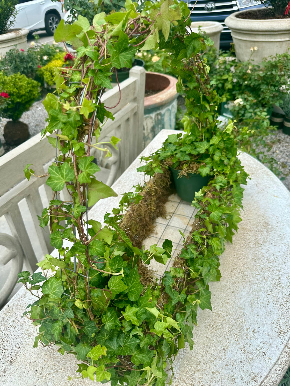 IVY TOPIARY BASKET