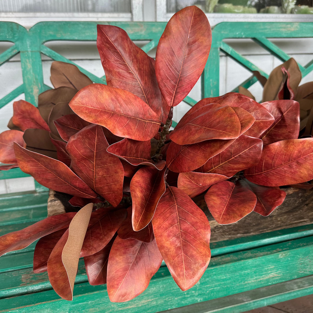 23" AUTUMNAL MAGNOLIA SPRAY