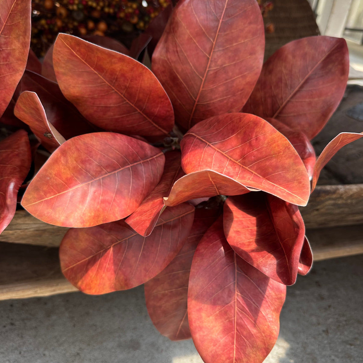 23" AUTUMNAL MAGNOLIA SPRAY