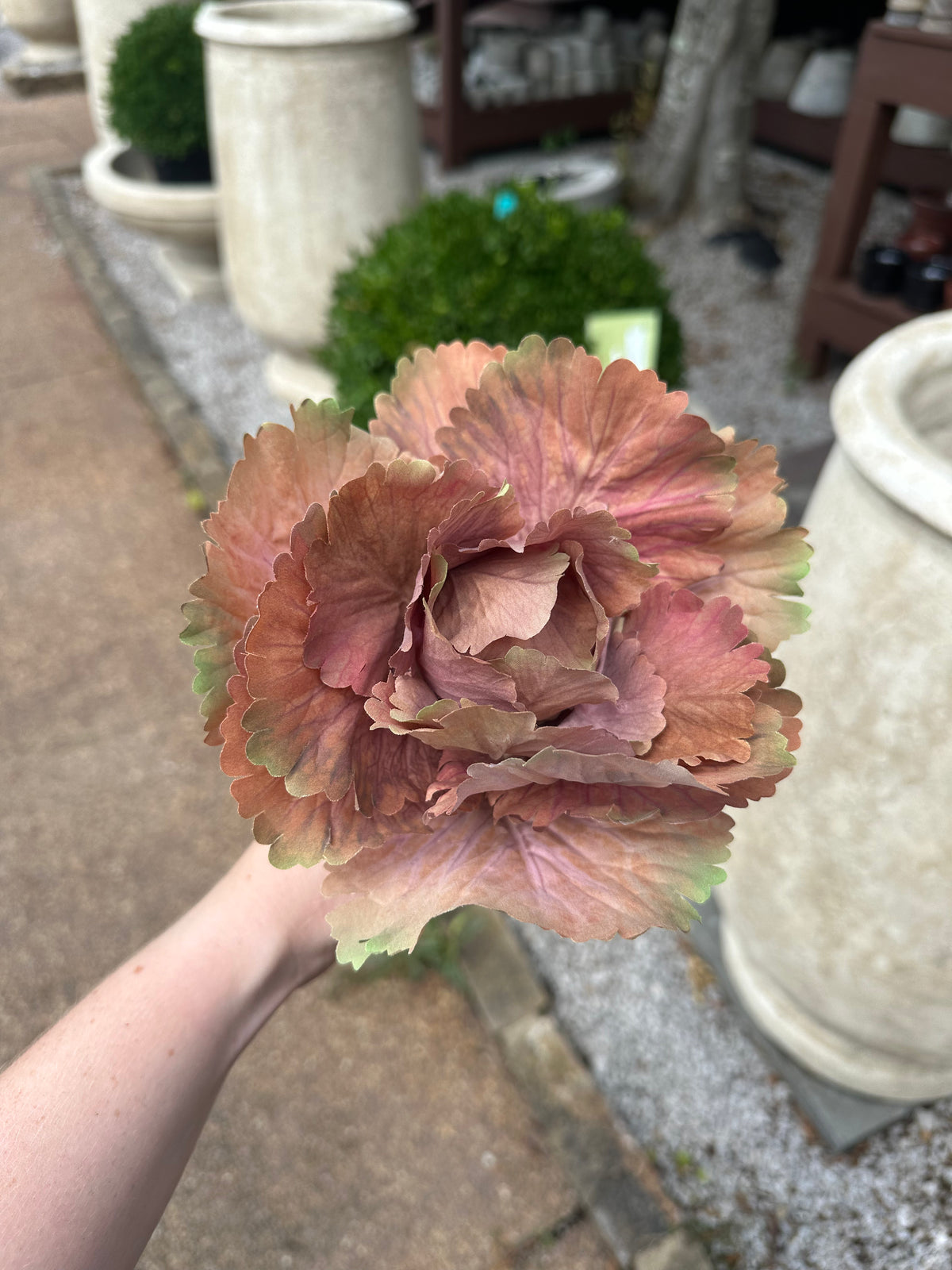 10" AUTUMN CABBAGE STEM
