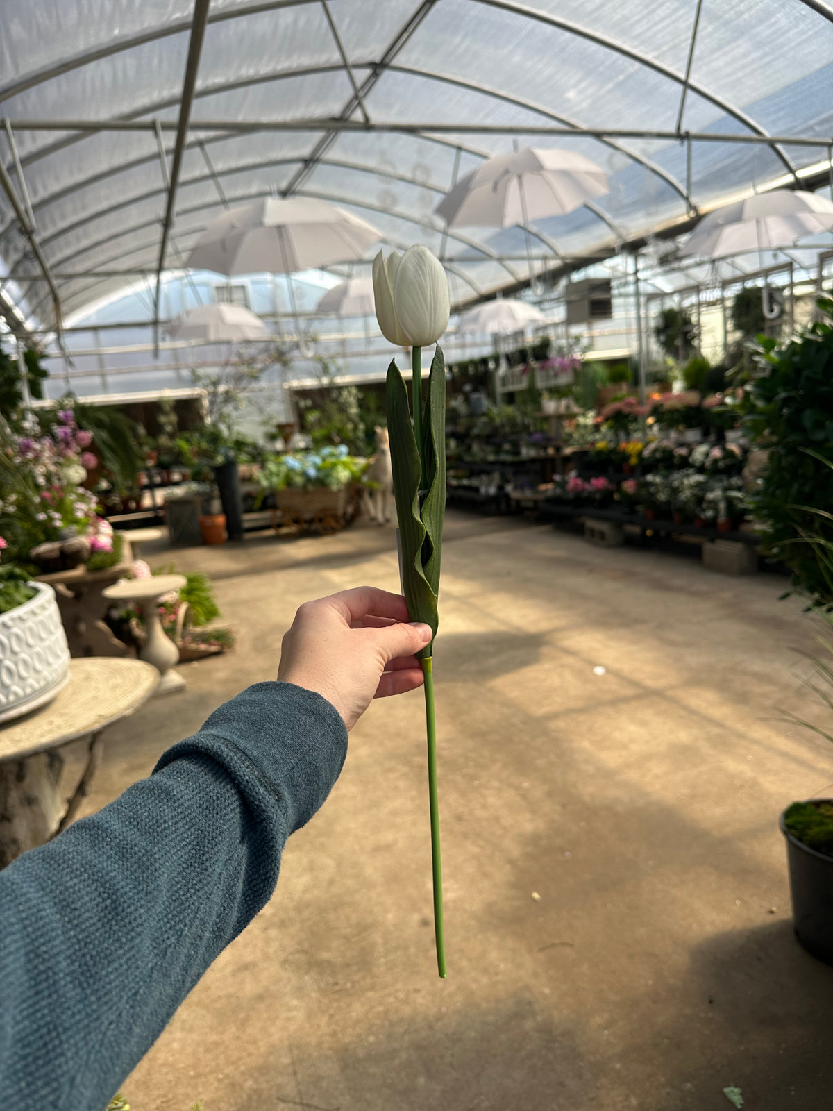 18.5" WHITE TULIP STEM