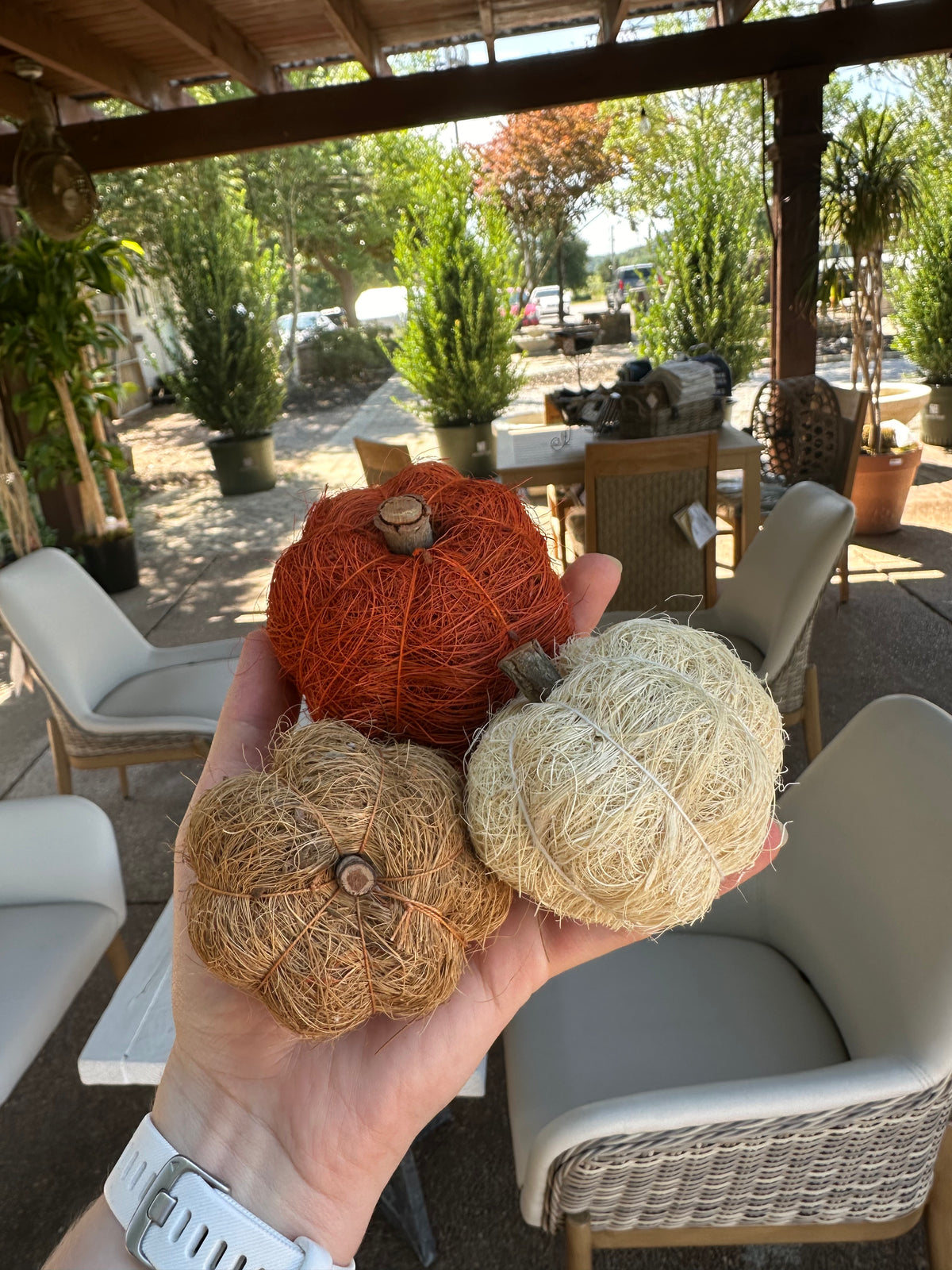 (SET OF 3) MINI COIR PUMPKINS