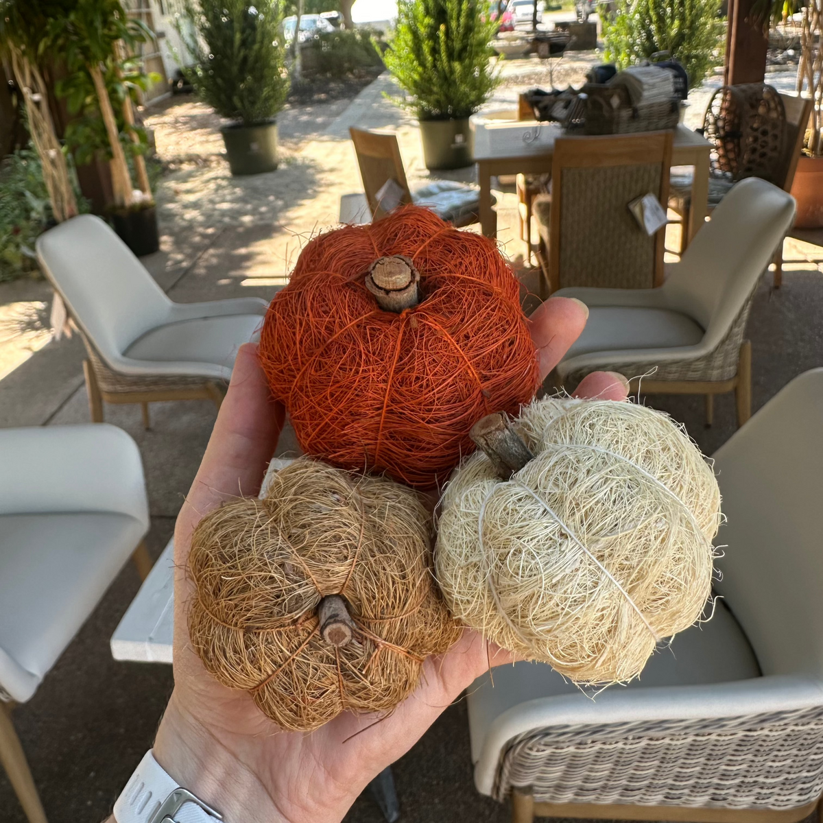 (SET OF 3) MINI COIR PUMPKINS