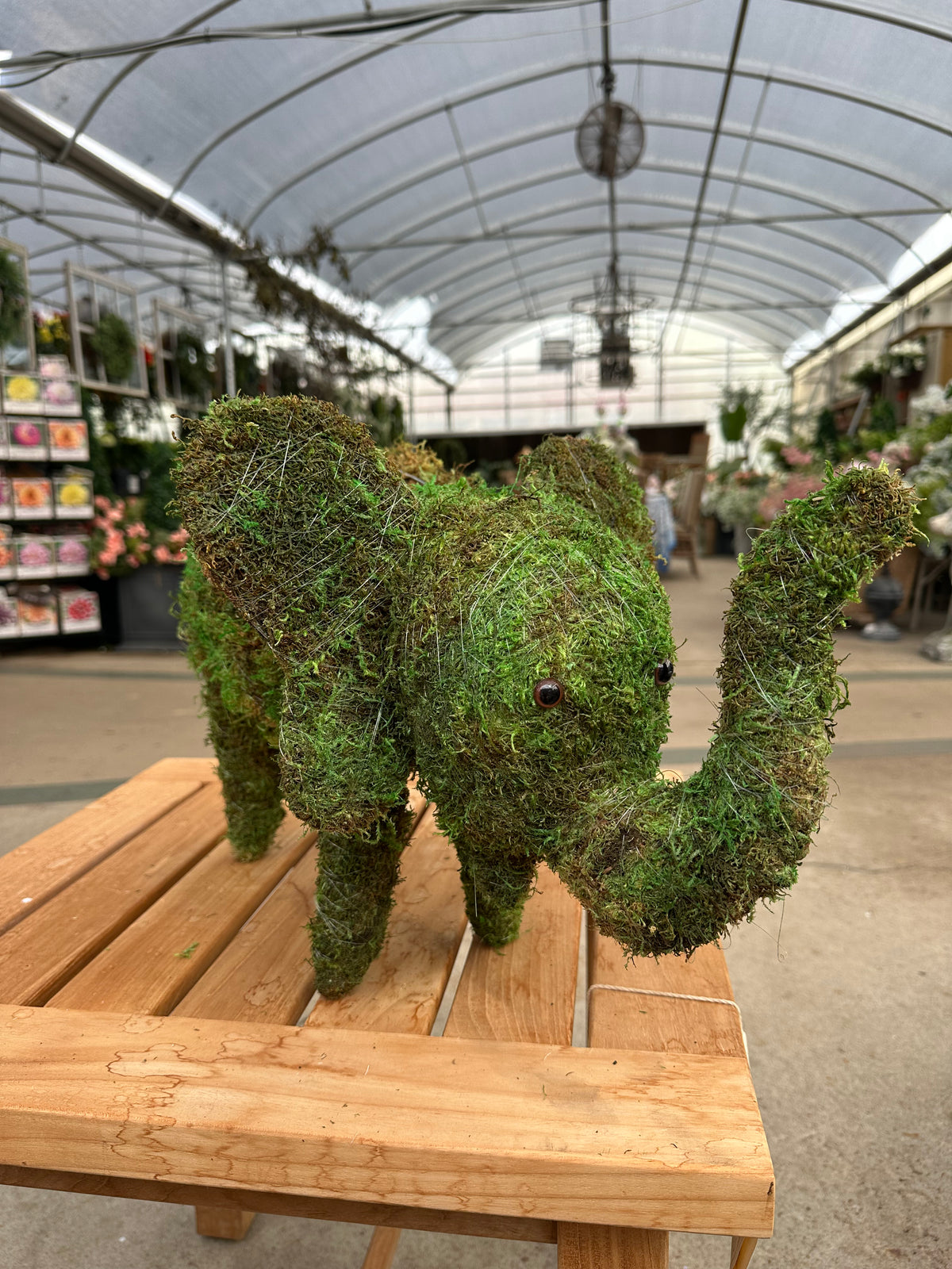 MOSSED ELEPHANT TOPIARY