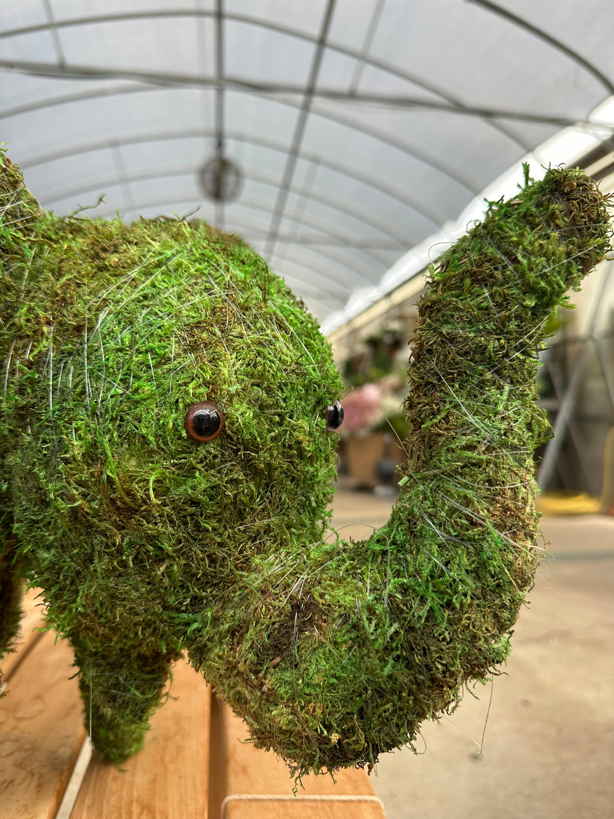 MOSSED ELEPHANT TOPIARY