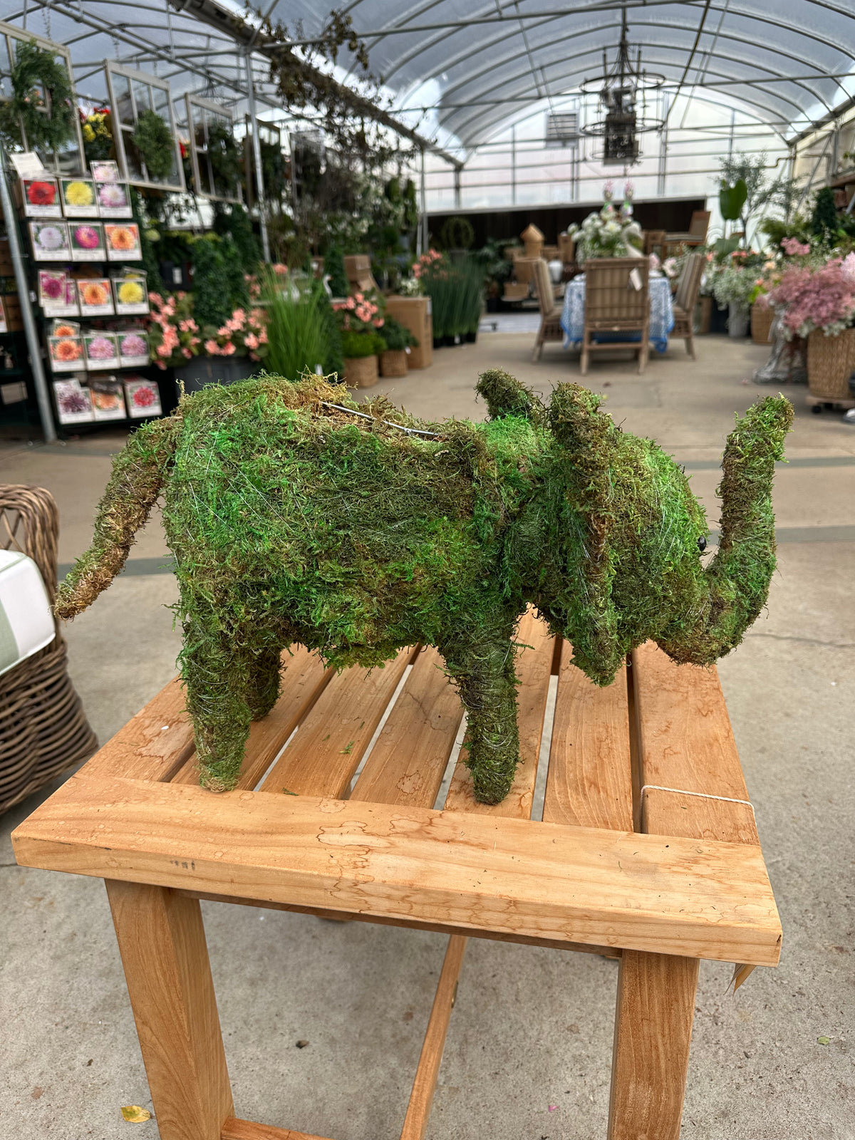 MOSSED ELEPHANT TOPIARY