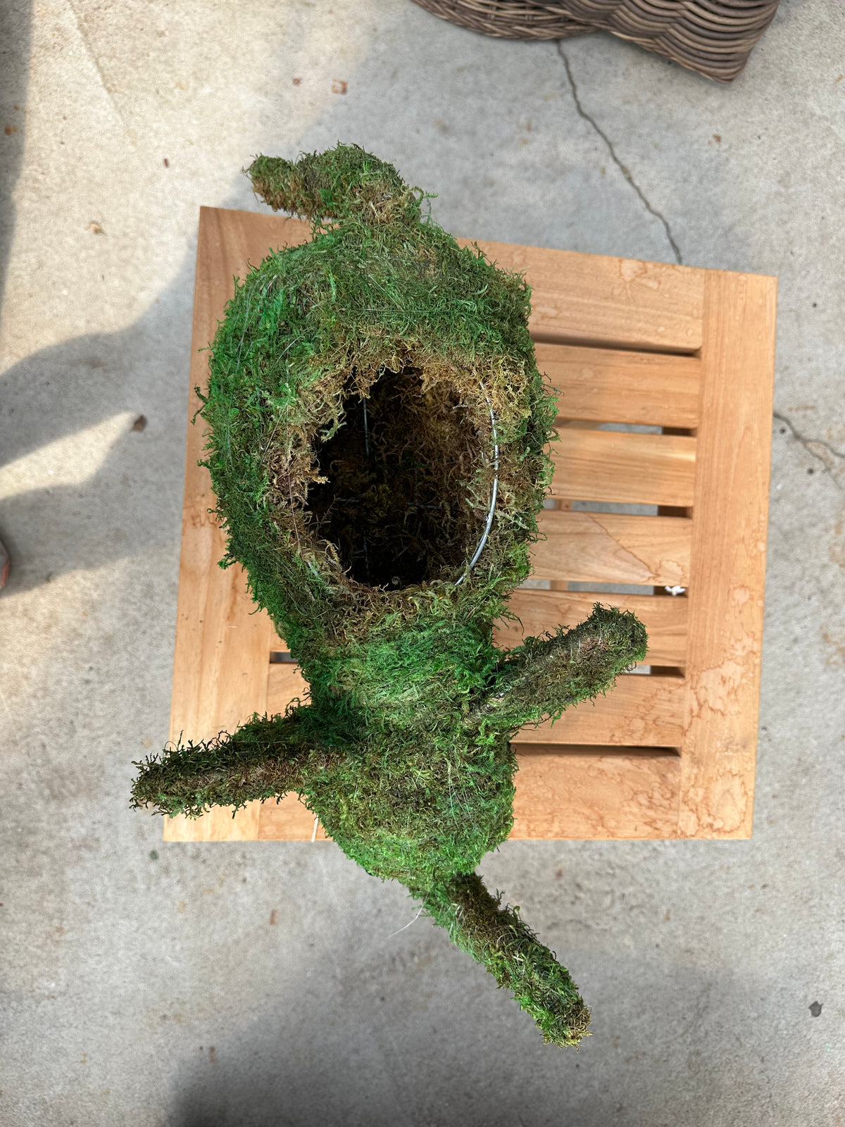 MOSSED ELEPHANT TOPIARY