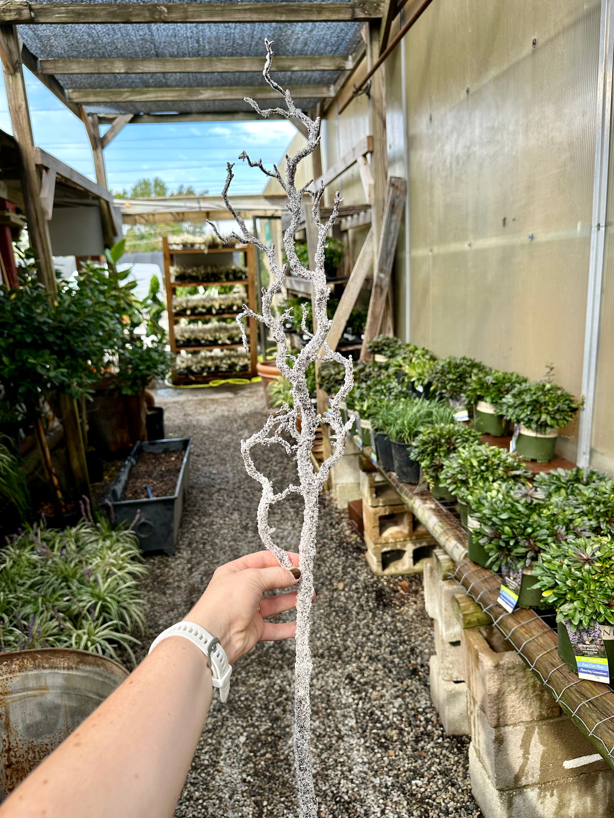 39"FROSTED BRANCH