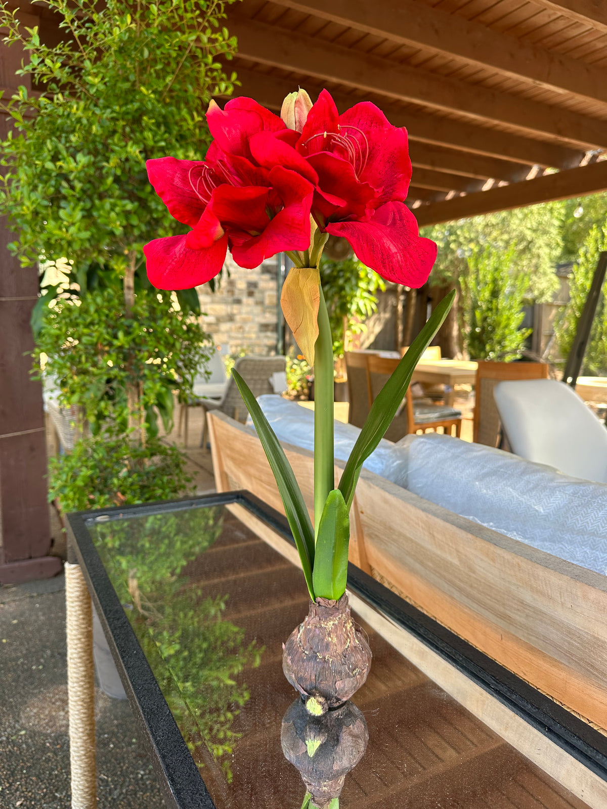 FAUX AMARYLLIS BULB