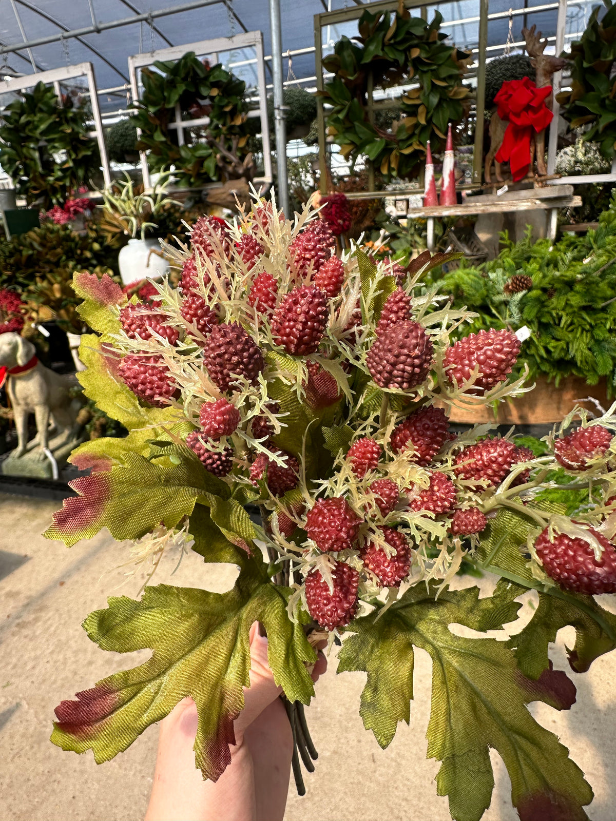 MINI THISTLE BUNDLE