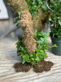 BABY DUCK IVY WRAPPED TOPIARY