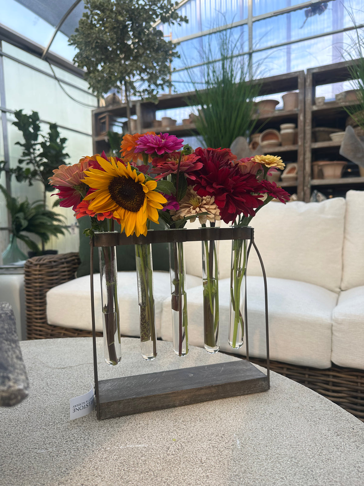 Mirabelle Tube Vase