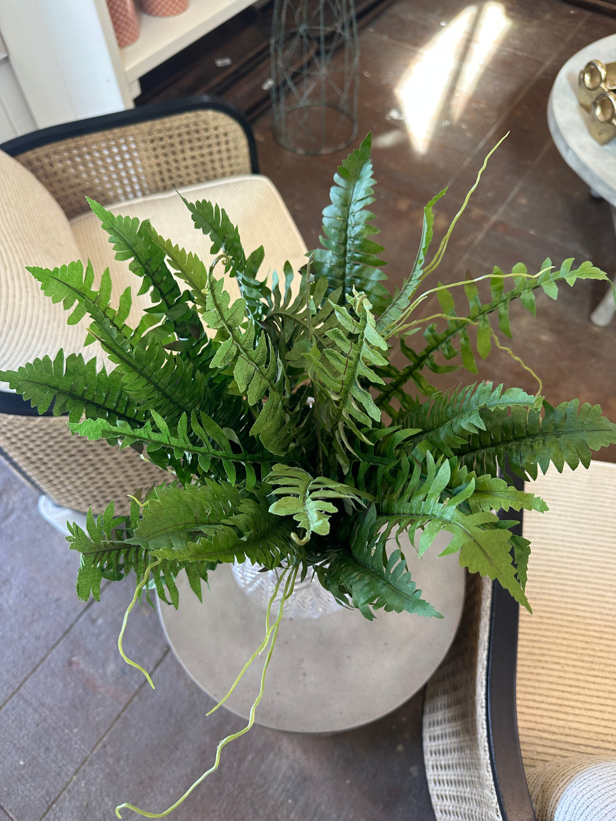 UV FAUX ESTATE BOSTON FERN