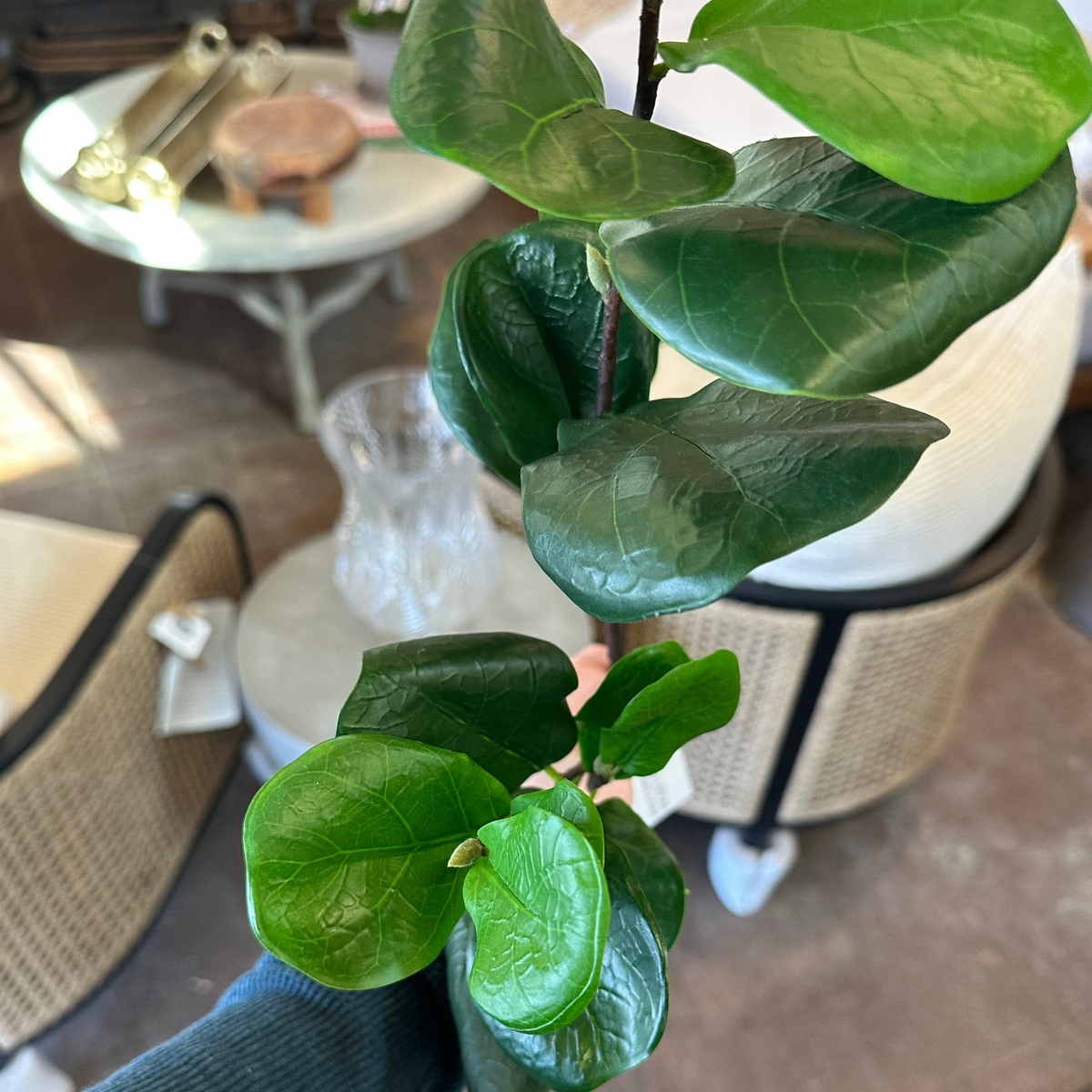 BABY FIDDLE LEAF SPRAY 28"