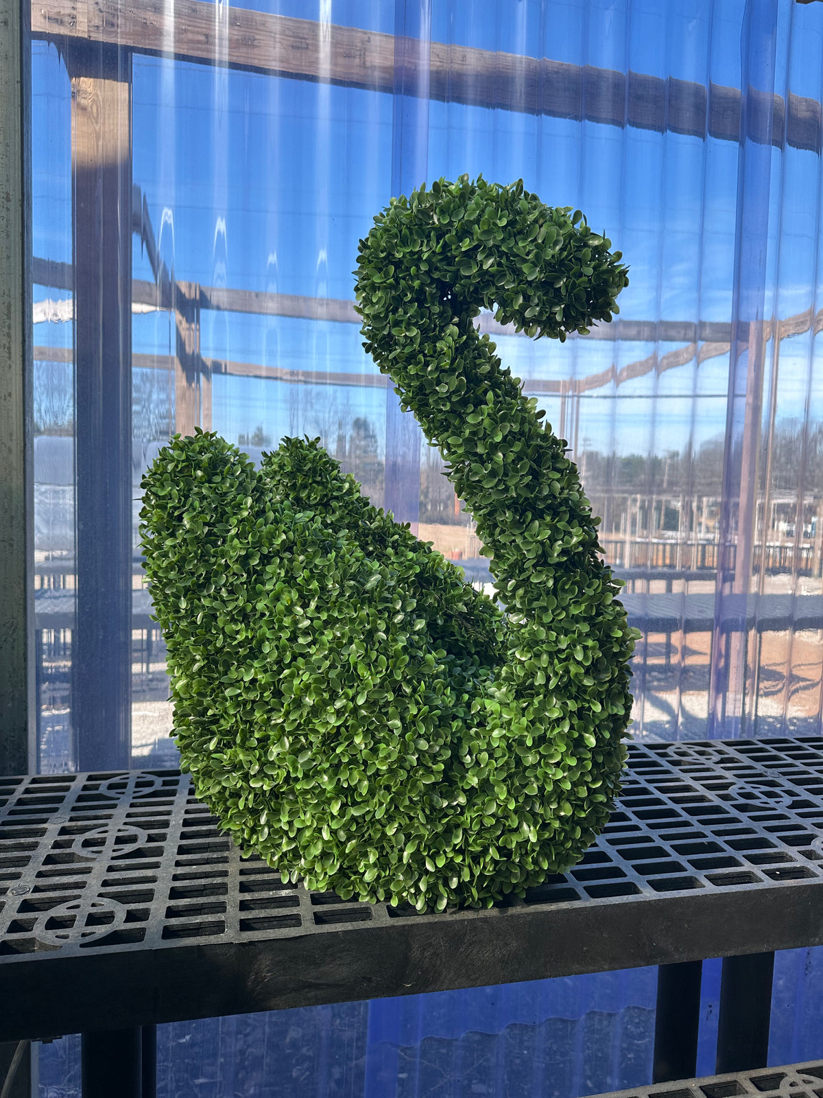 BOXWOOD SWAN TOPIARY