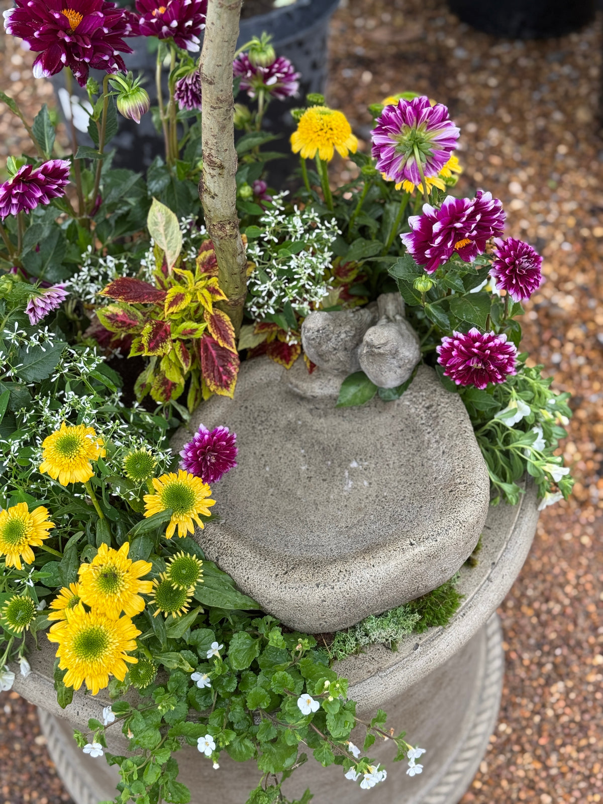 GRAMERCY PLANTER