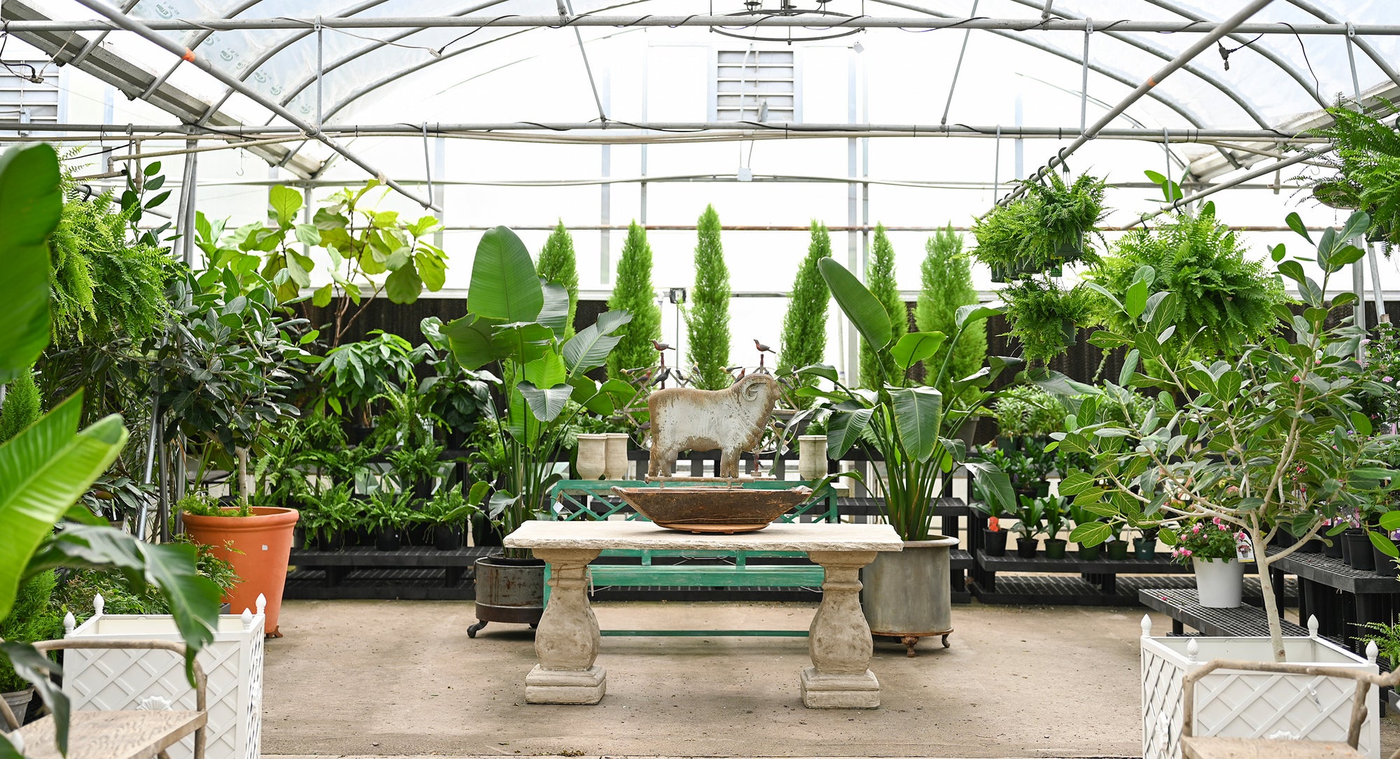 Gardening Pots & Nursery Pots - Greenhouse Megastore