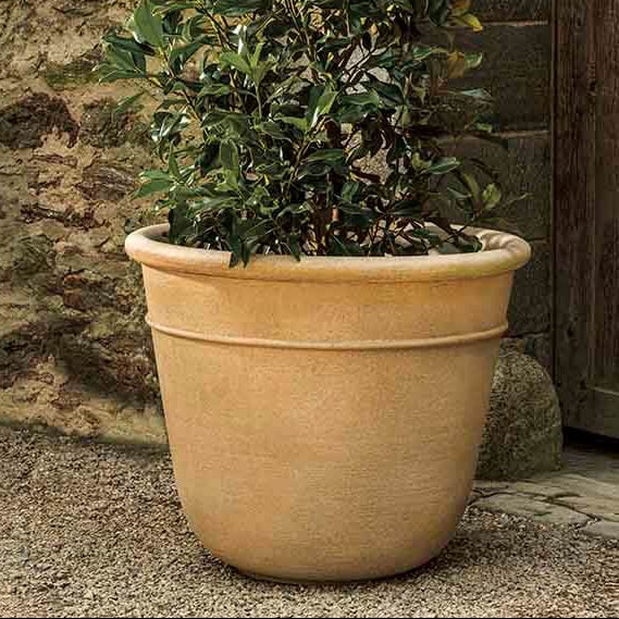 Carema Planter