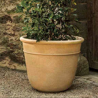 Carema Planter