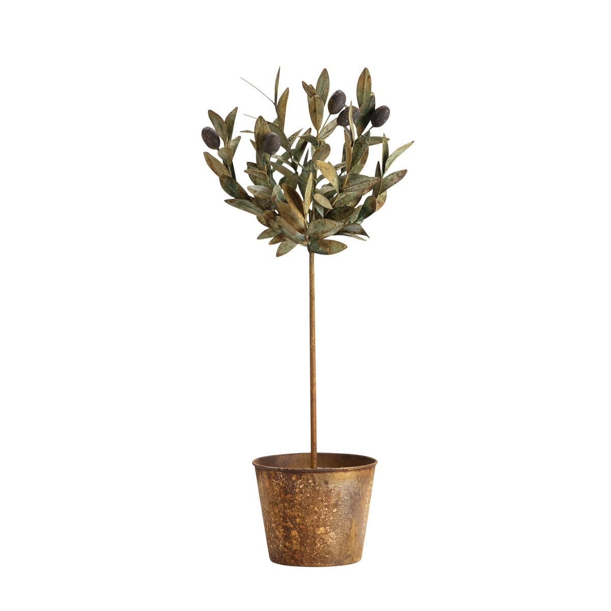 METAL OLIVE TOPIARY TOLE IN POT