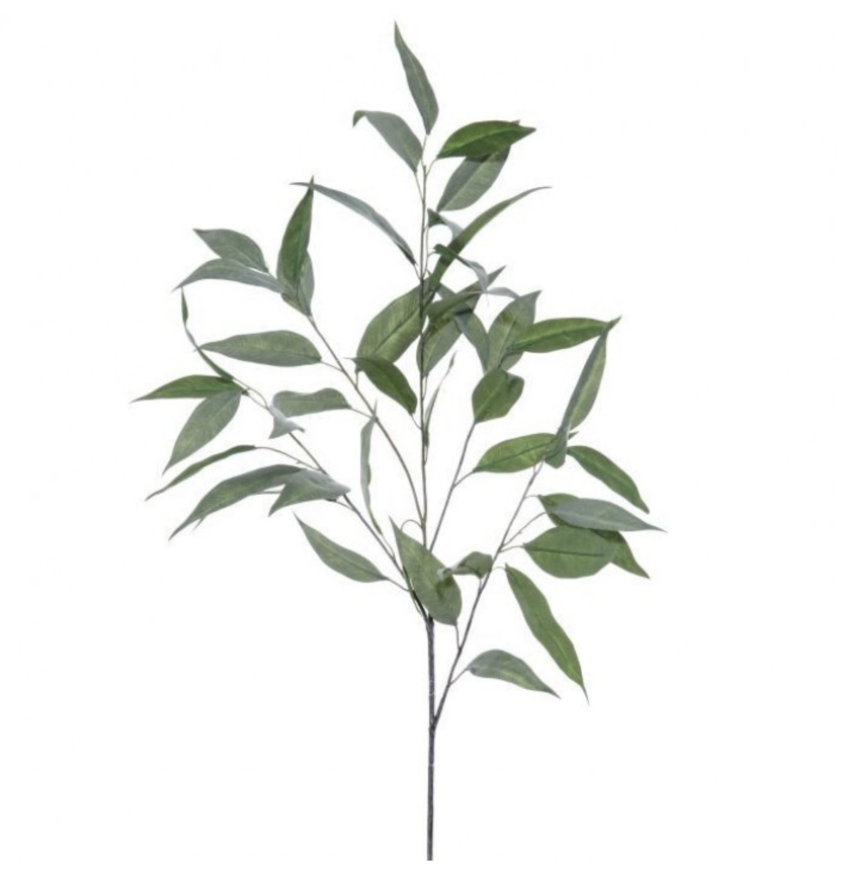 37"WILLOW EUCALYPTUS SPRAY