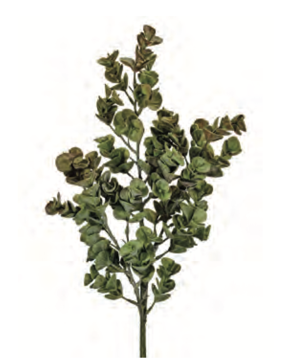 27" REAL TOUCH EUCALYPTUS SPRAY