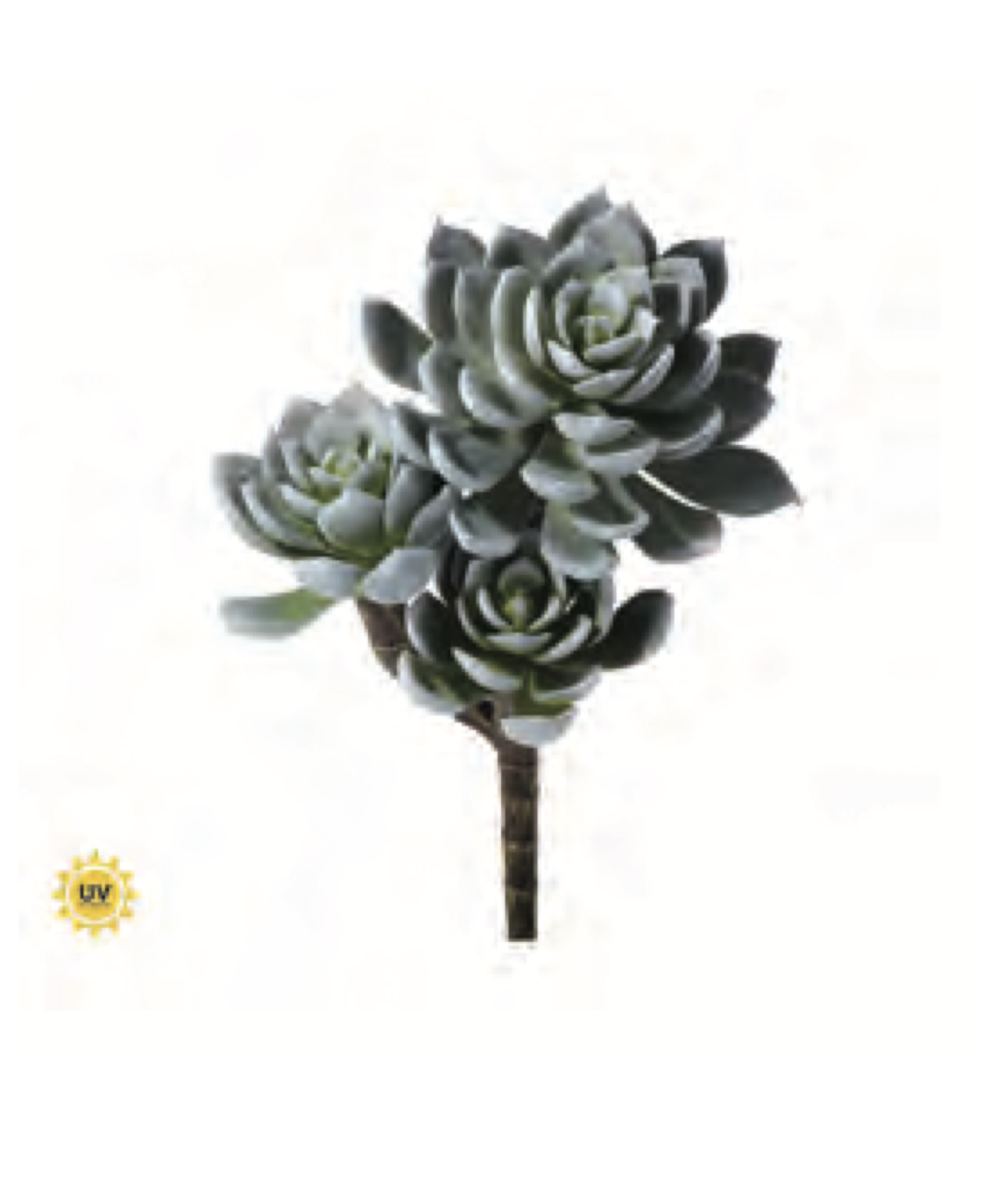 TRIPLE SPOON SUCCULENT PICK
