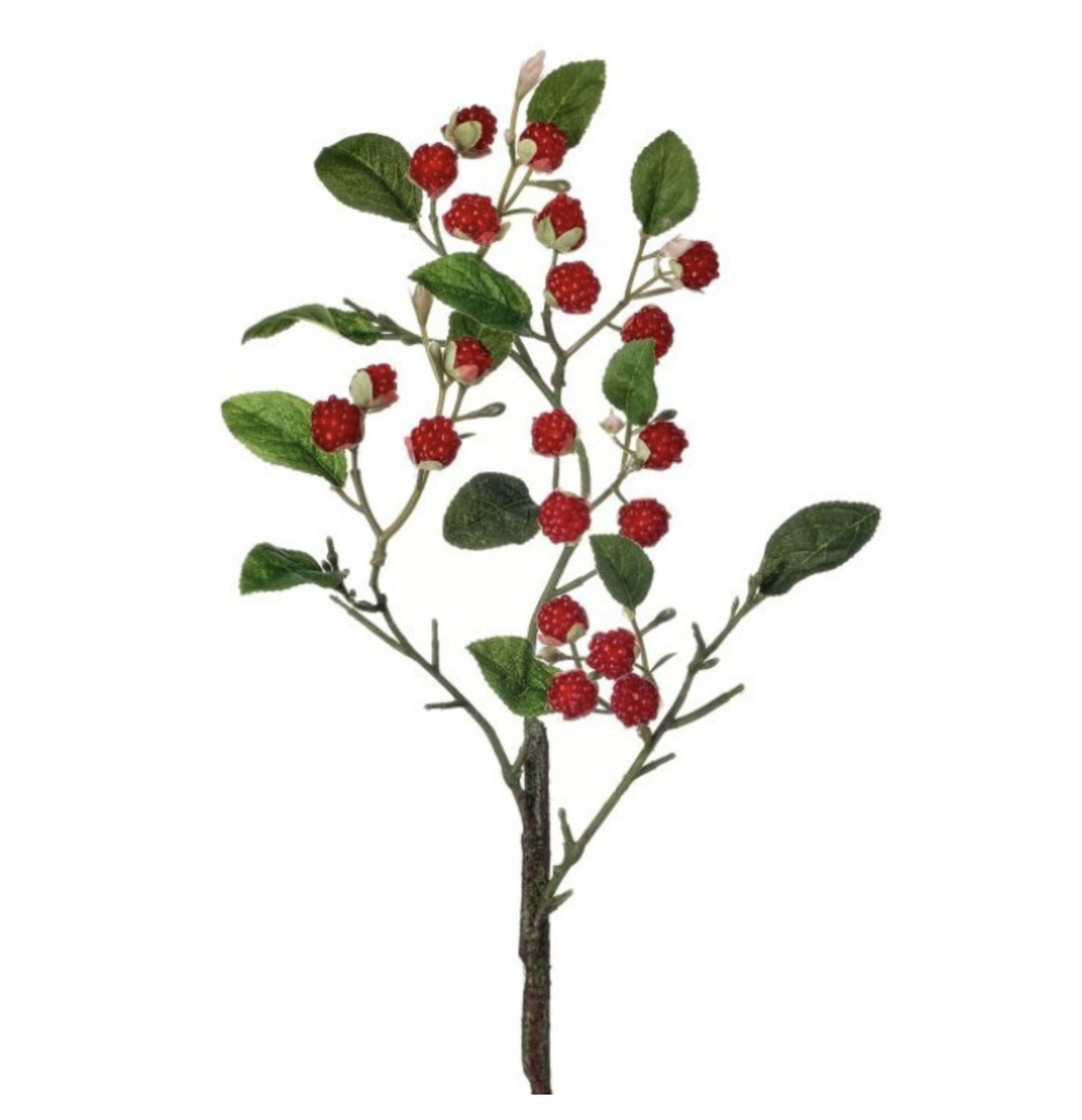 WILD RASPBERRY SPRAY