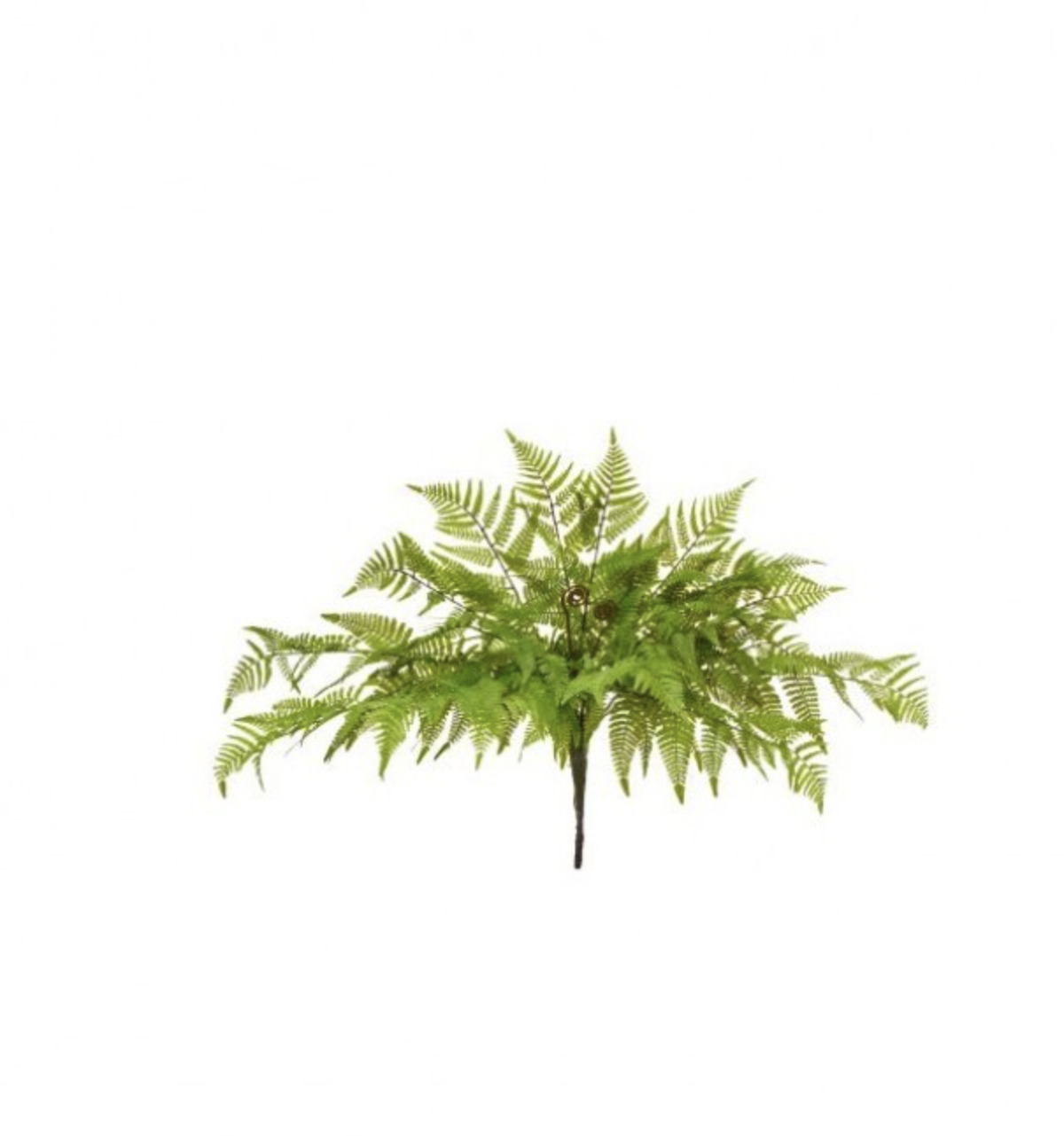 20" FAUX  LEATHER FERN PLANT