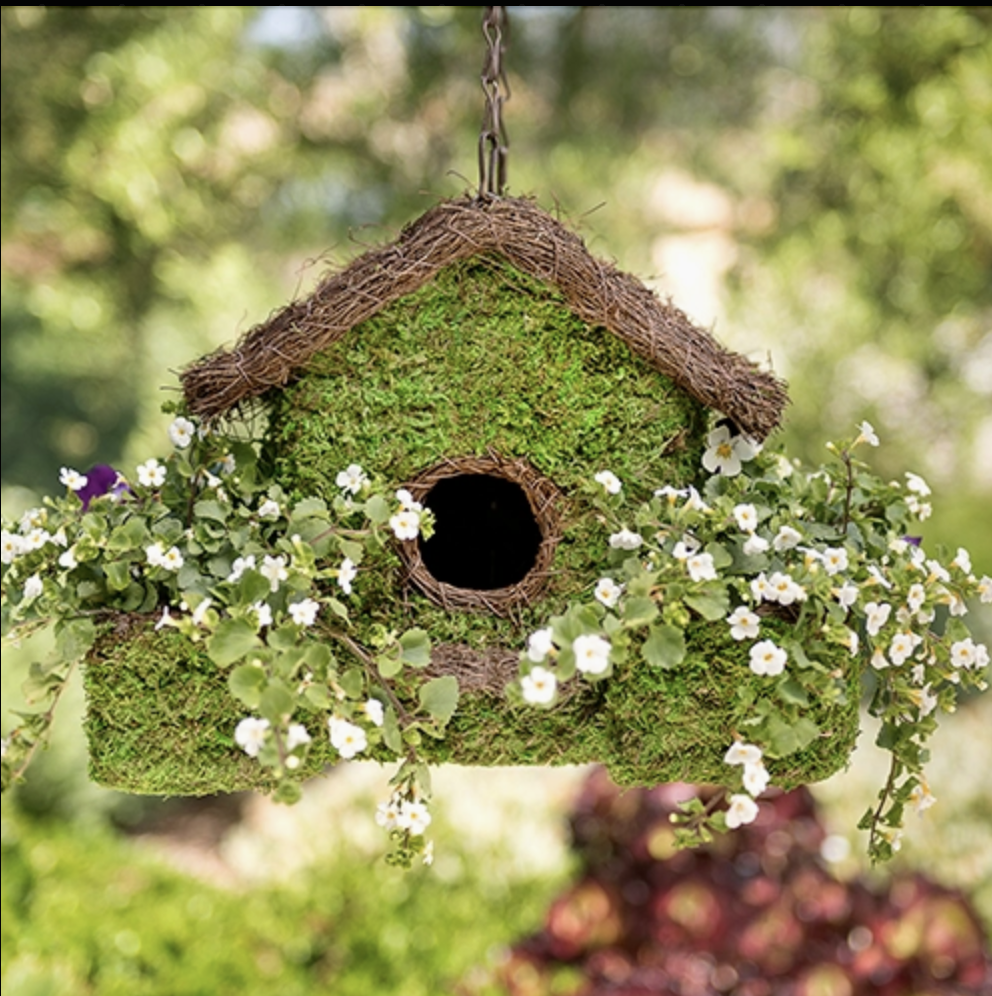 PLANTABLE BIRD HOUSE